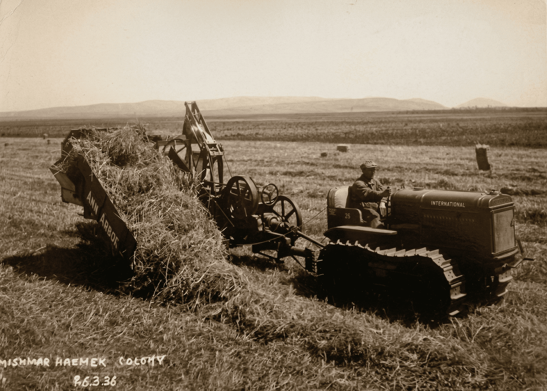 Campo de cultivo