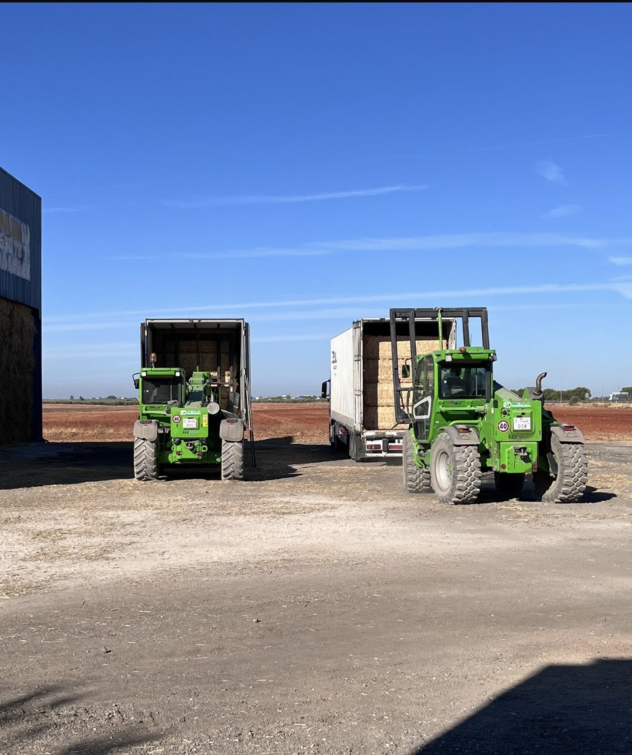 Comercialización de forraje